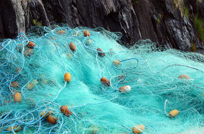 vee fishnet